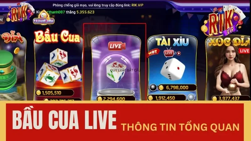 Thông tin tổng quan